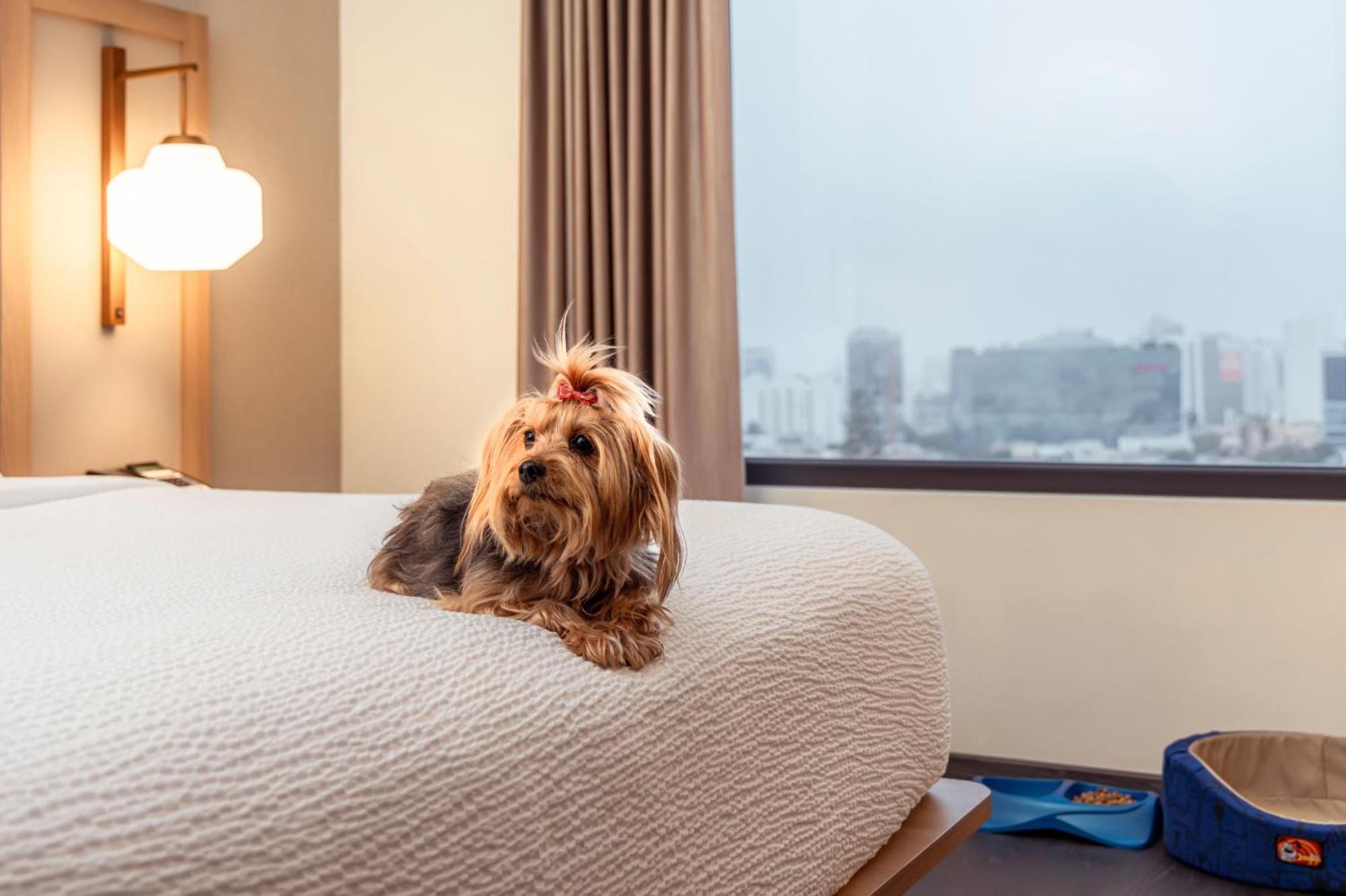 Fairfield By Marriott Lima Miraflores Luaran gambar